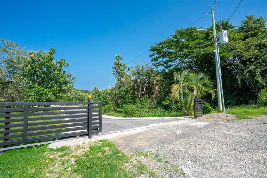 Mango Walk Lots 12   13 Double Forest Lots Near Playa Minas Cabo Velas Guanacaste