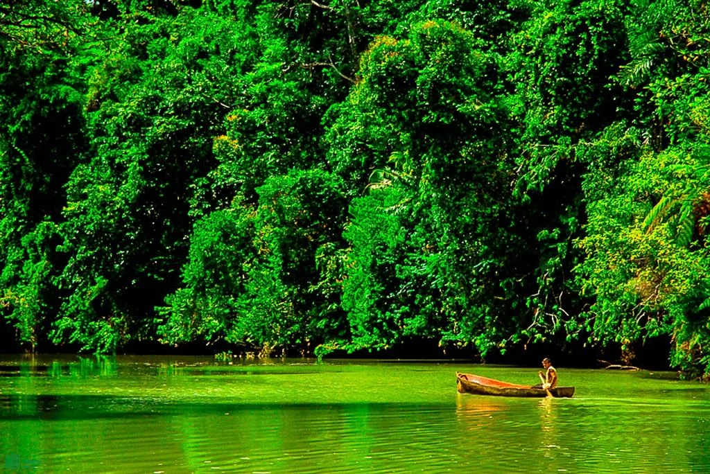 Osa Waterfront Lodge Puerto Jimenez Puntarenas