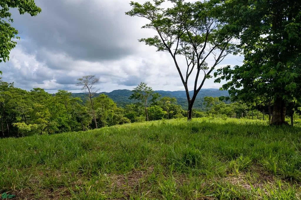 Marbella Santacruz Guanacaste