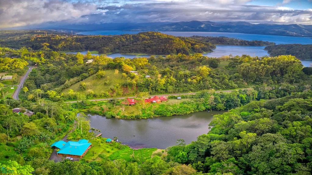 The Lucky Bug Nuevo Arenal Costa Rica Tilarn Guanacaste