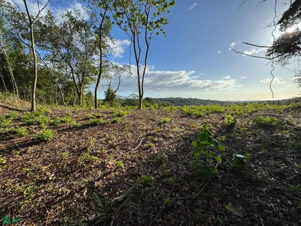 Emerald Woods Marbella Cuajiniquil Guanacaste