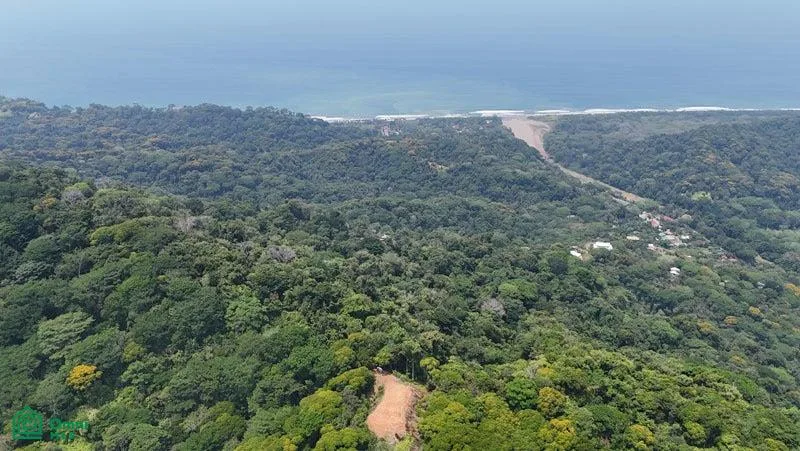 Rivers Jungle Waterfalls And Ocean Views Puntarenas
