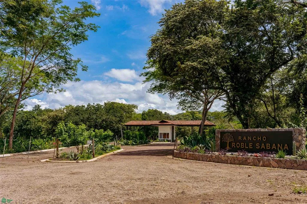 Prime Parcel In A Natural Oasis Tamarindo Guanacaste