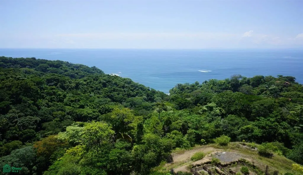 Sn Trcoles Puntarenas