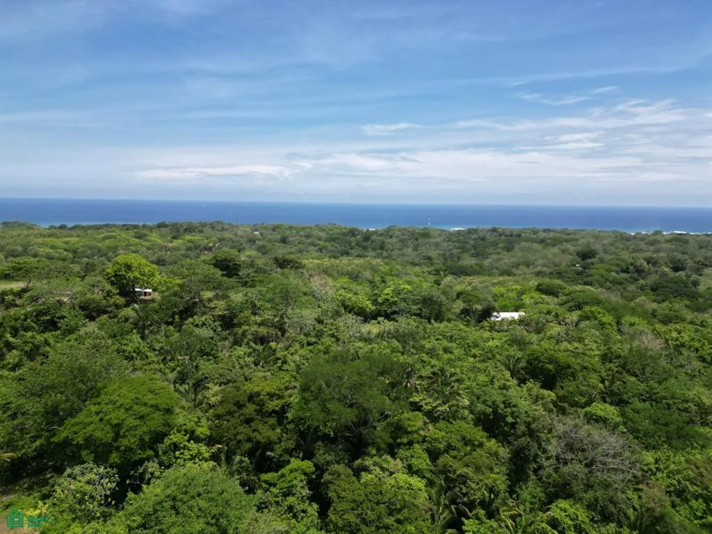San Juanillo Farm Cuajiniquil Guanacaste