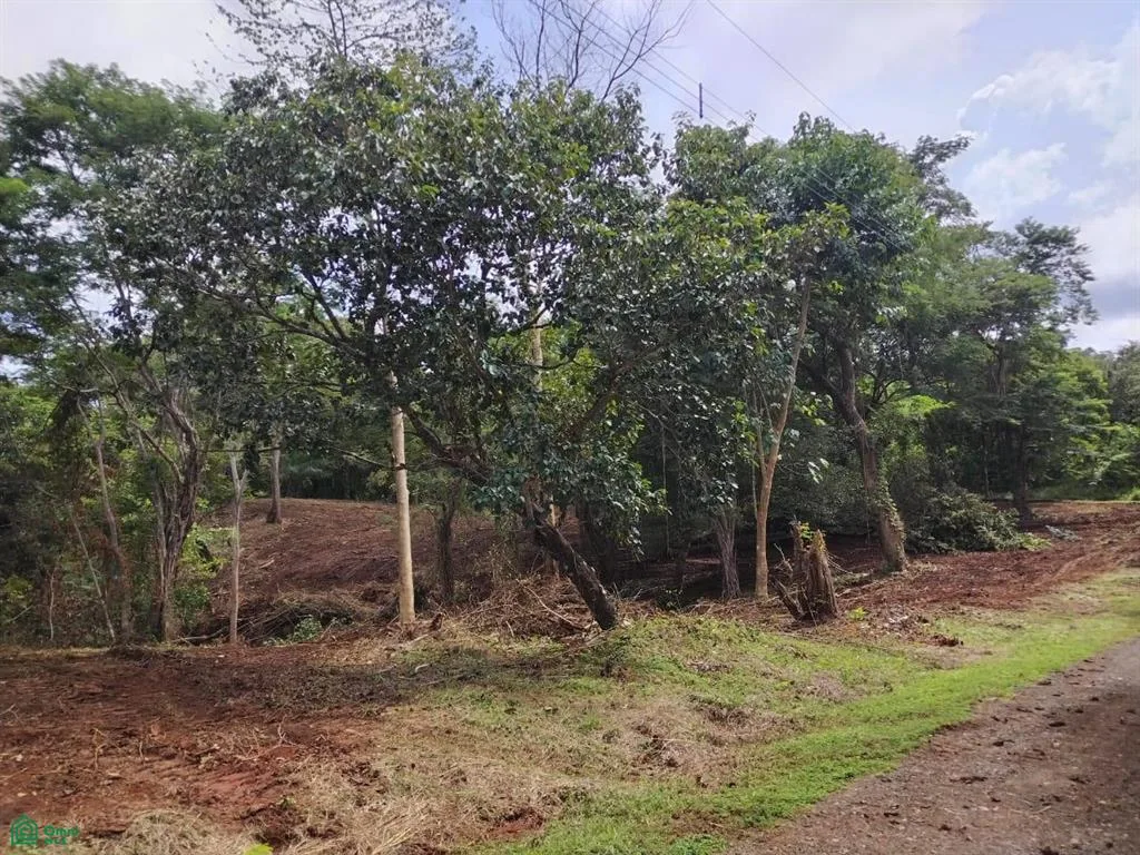 Eco Development Veintisiete De Abril Guanacaste