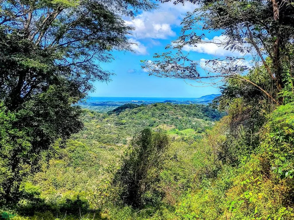 1222 Camino Pinilla Highlands Tamarindo Guanacaste
