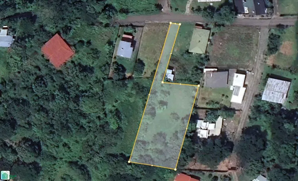 Los Bufalos Concepcion Alajuela