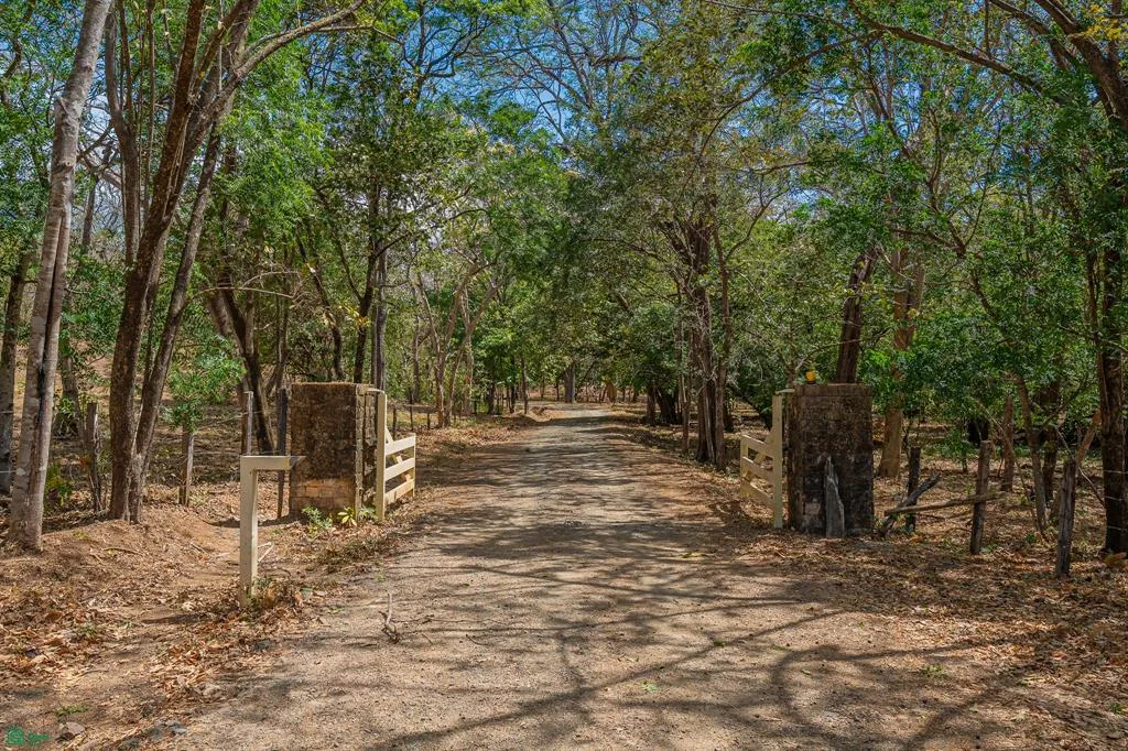Cerro Grande Estates Road Tamarindo Guanacaste