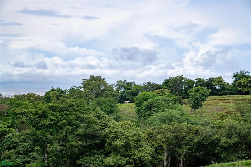 Marbella Santa Cruz Guanacaste