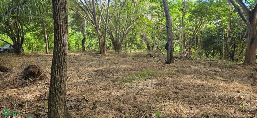Quinta Esencia Esparza Puntarenas