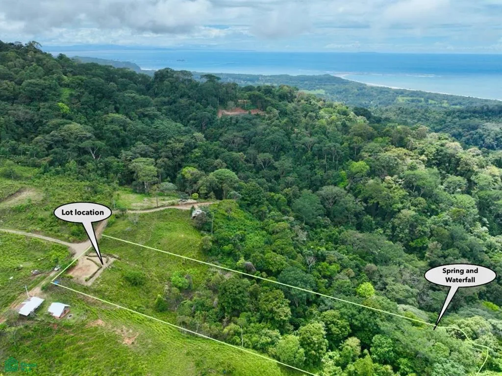 Puntarenas