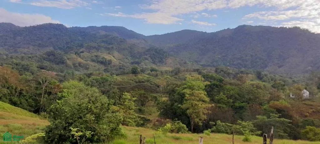Las Vegas Parrita Puntarenas