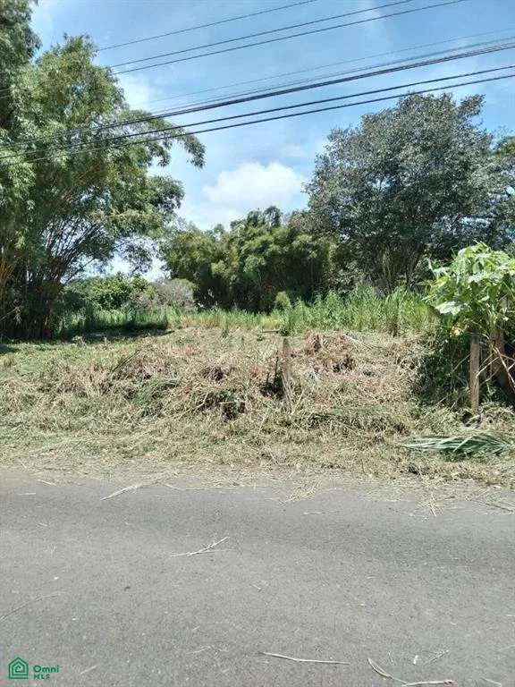 Paquita Puntarenas