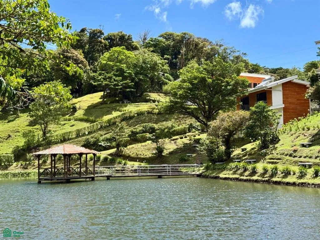 Monteverde Puntarenas