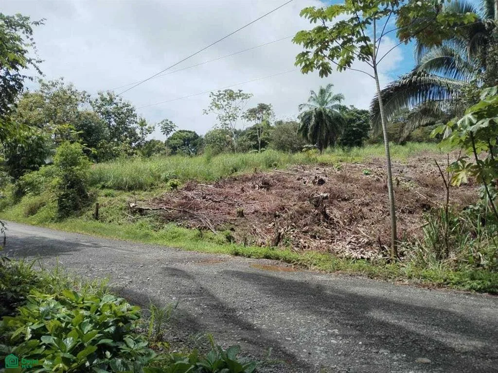 Calle Parcelas De Damas Parrita Puntarenas