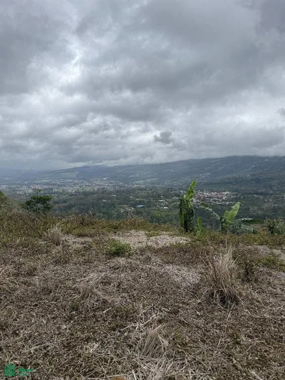 Verbena Norte Turrialba Cartago