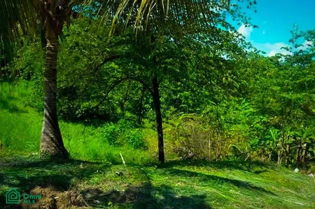 La Reserva Camaronal Lot 16 Zapotal Guanacaste