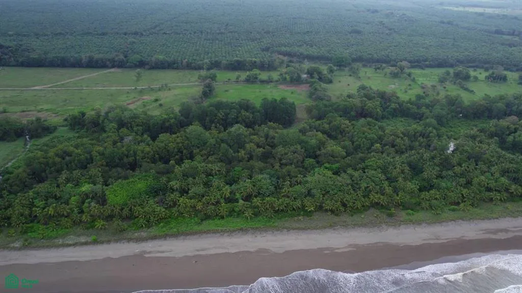Beachfront Finca 91 Acres Puntarenas