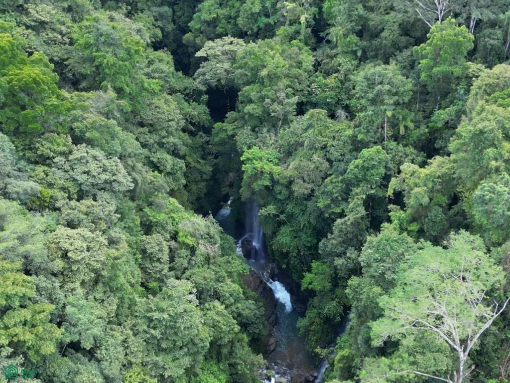 Uvita San Jose
