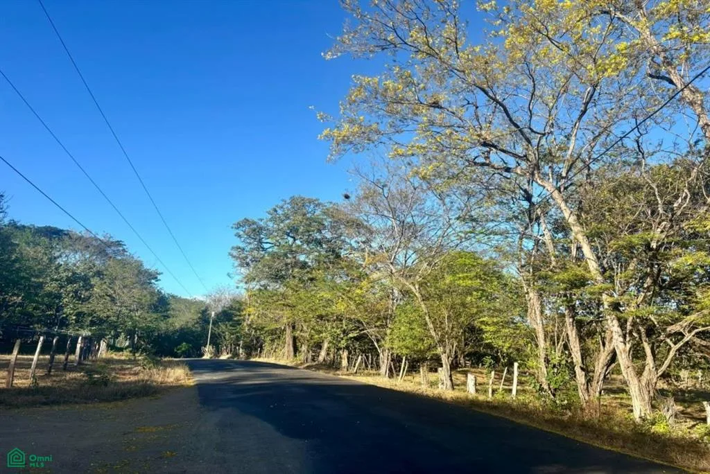 Development Ready Lot Portegolpe Cabo Velas Guanacaste