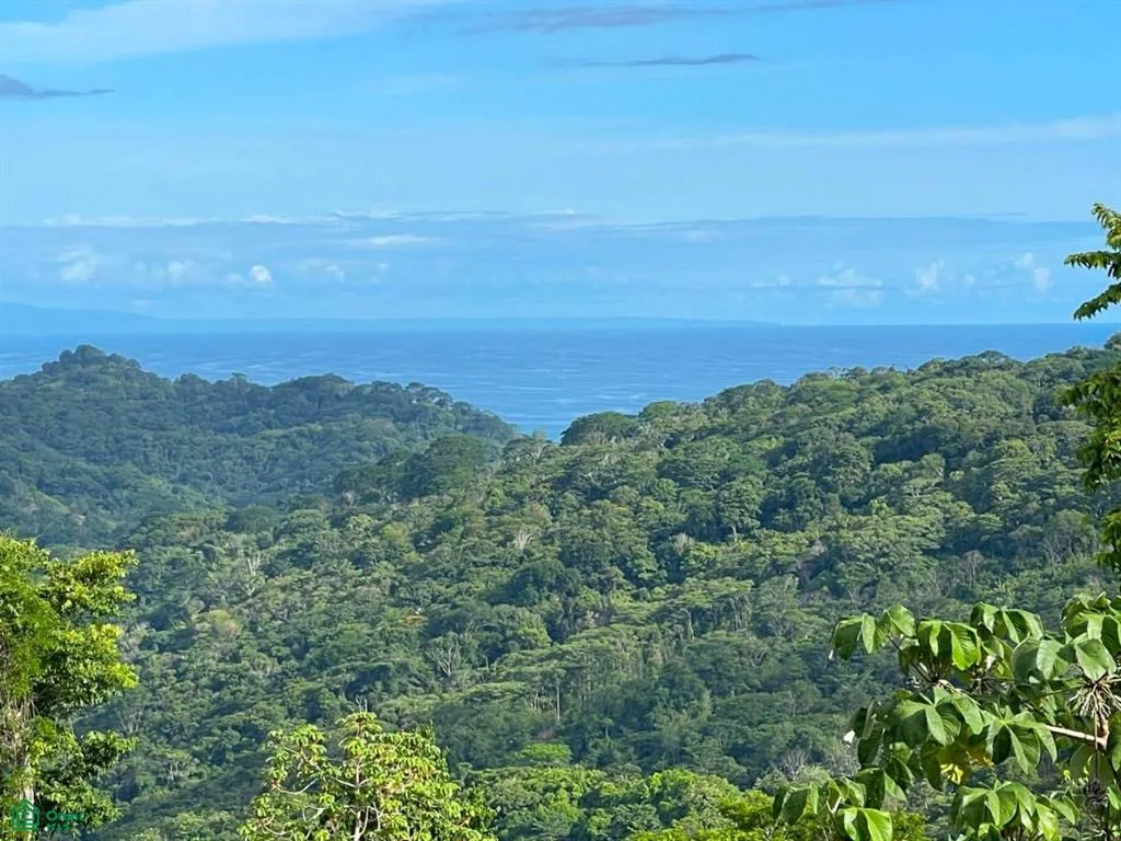 Dominical Puntarenas