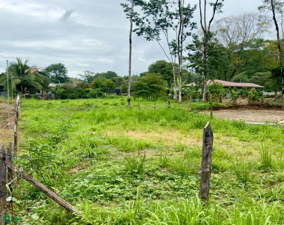 Uvita Puntarenas