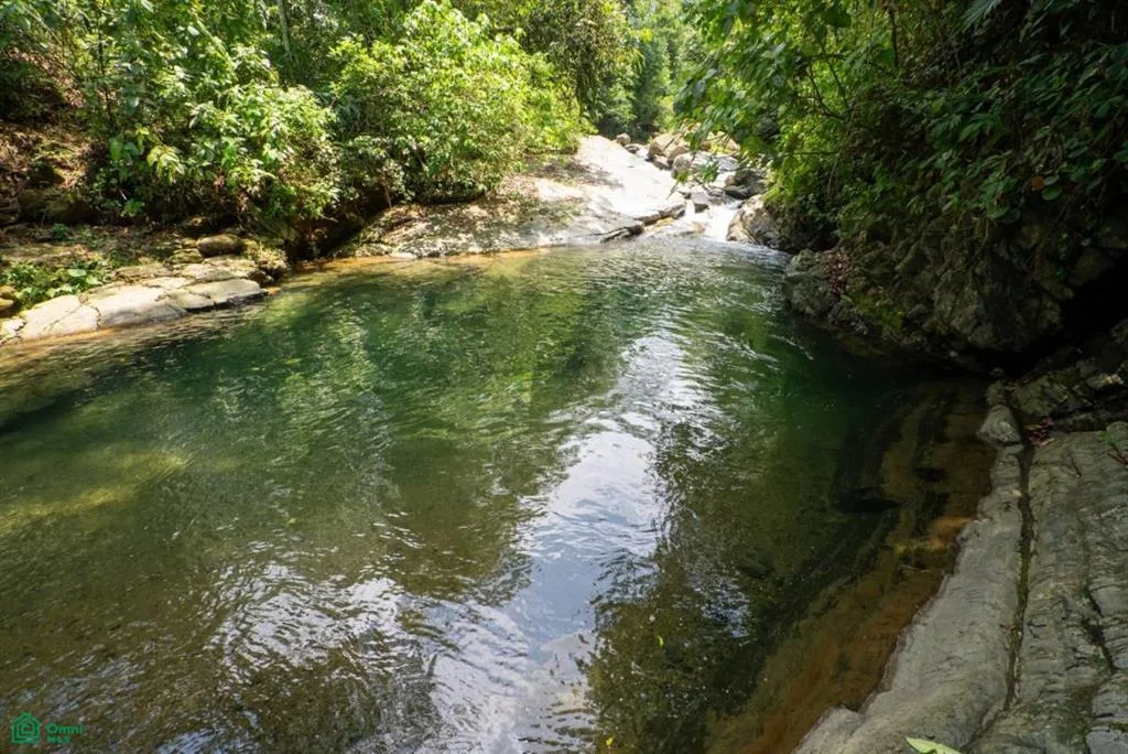Finca Dos Bocas Puntarenas
