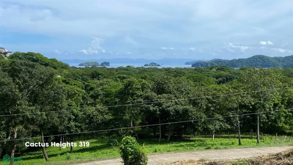 319 Cactus Heights Guanacaste