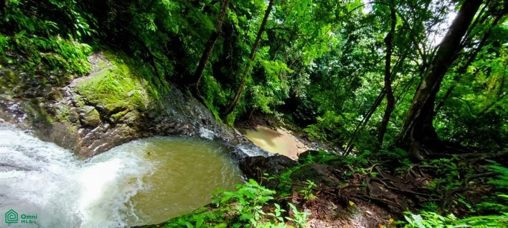 Las Pilas Pirris Parrita Puntarenas