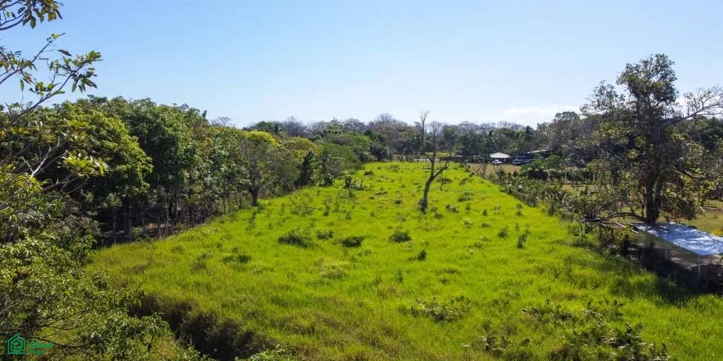 Cabuya Puntarenas