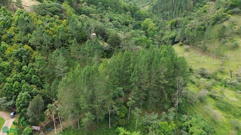 Dulce Nombre Turrialba Cartago