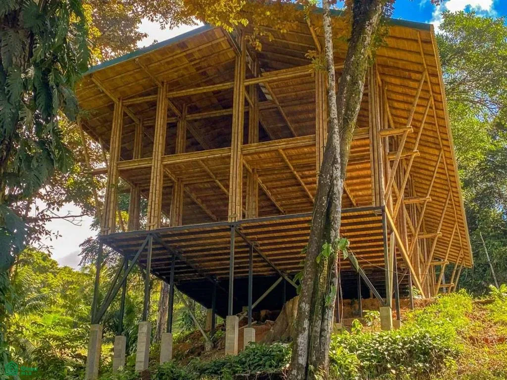 Uvita Baha Ballena Puntarenas