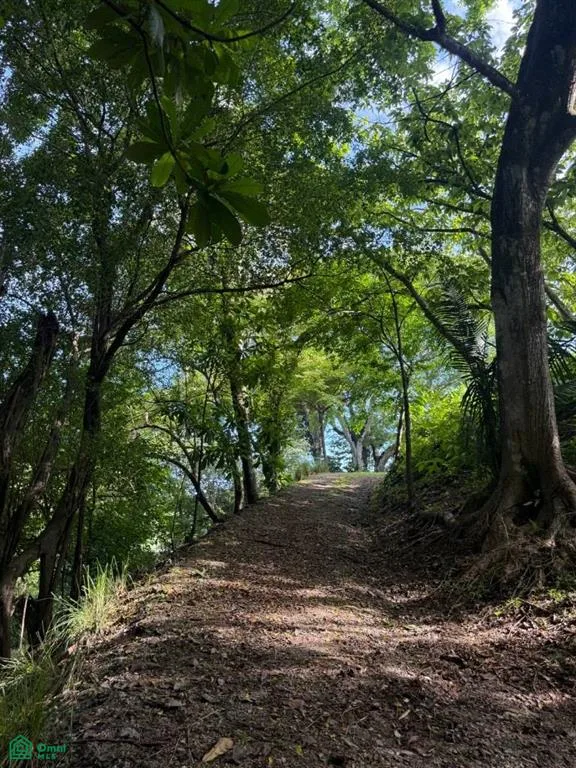 Lote En Nosara Nicoya Guanacaste