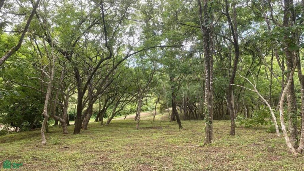 Santa Rosa Tamarindo Guanacaste