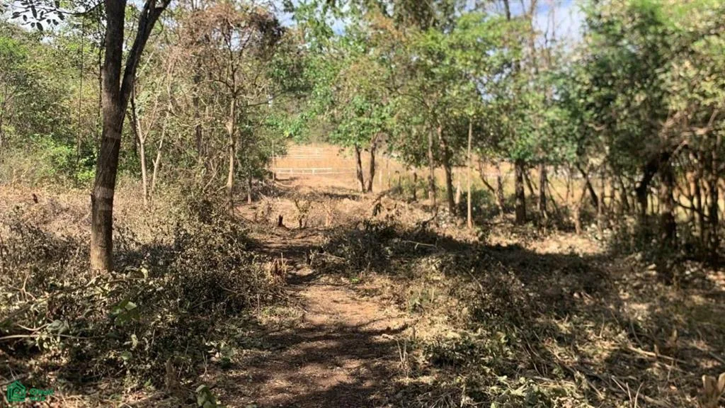 Santa Rosa Tamarindo Guanacaste