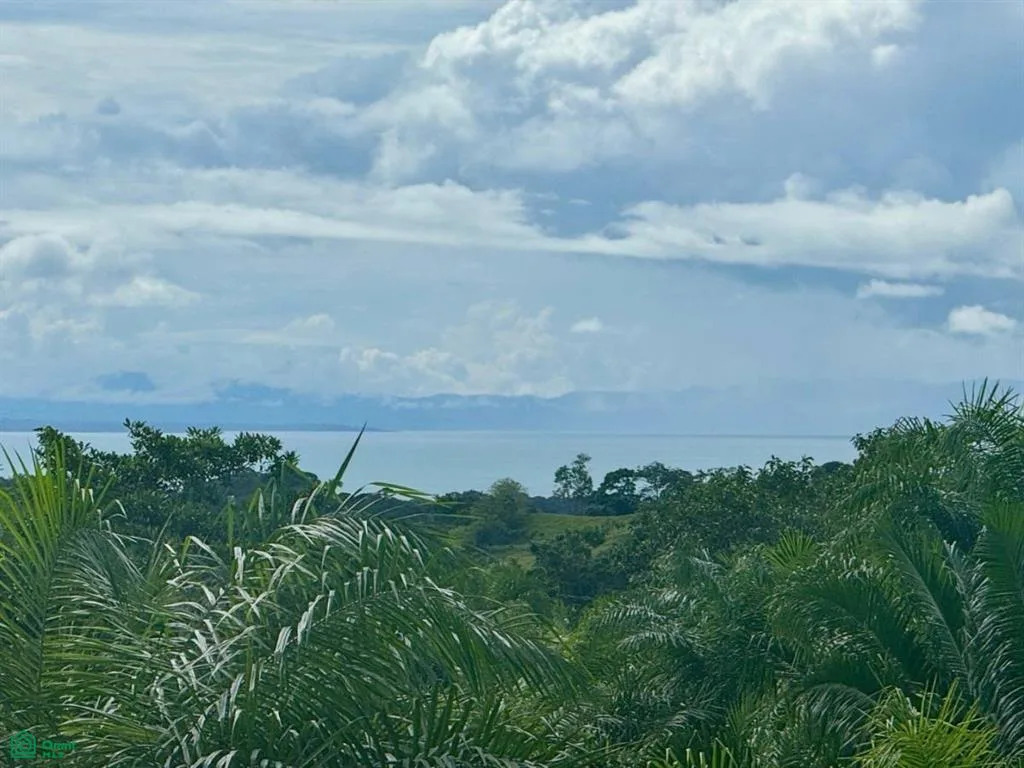 Pavones Golfito Puntarenas