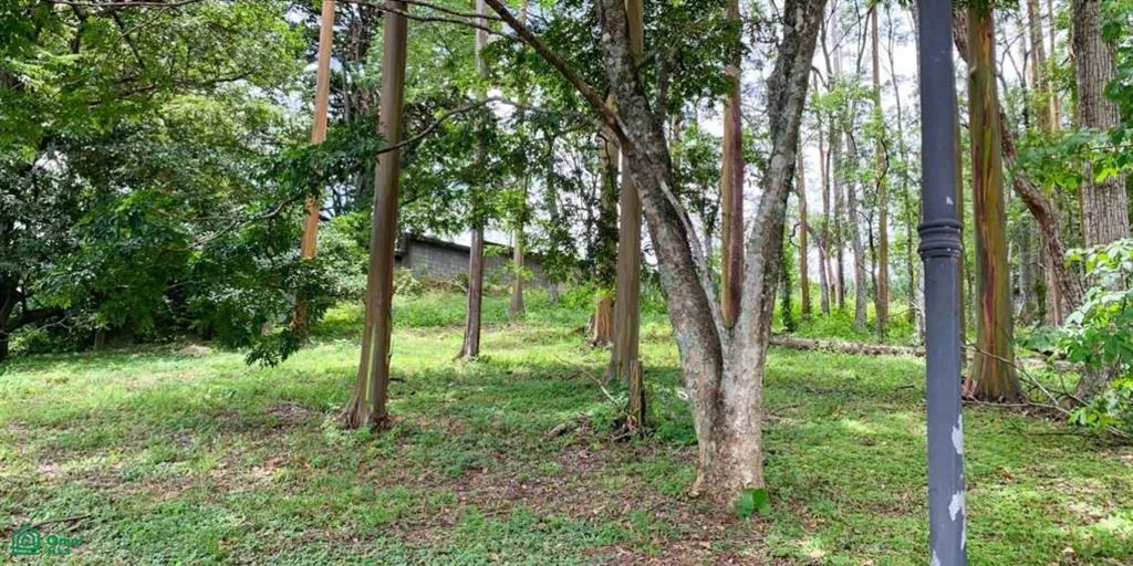 Escazu San Jose