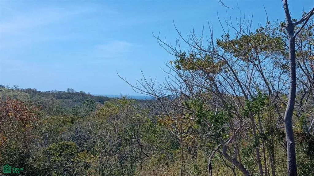 Eco Development Gated Community Santa Cruz Guanacaste