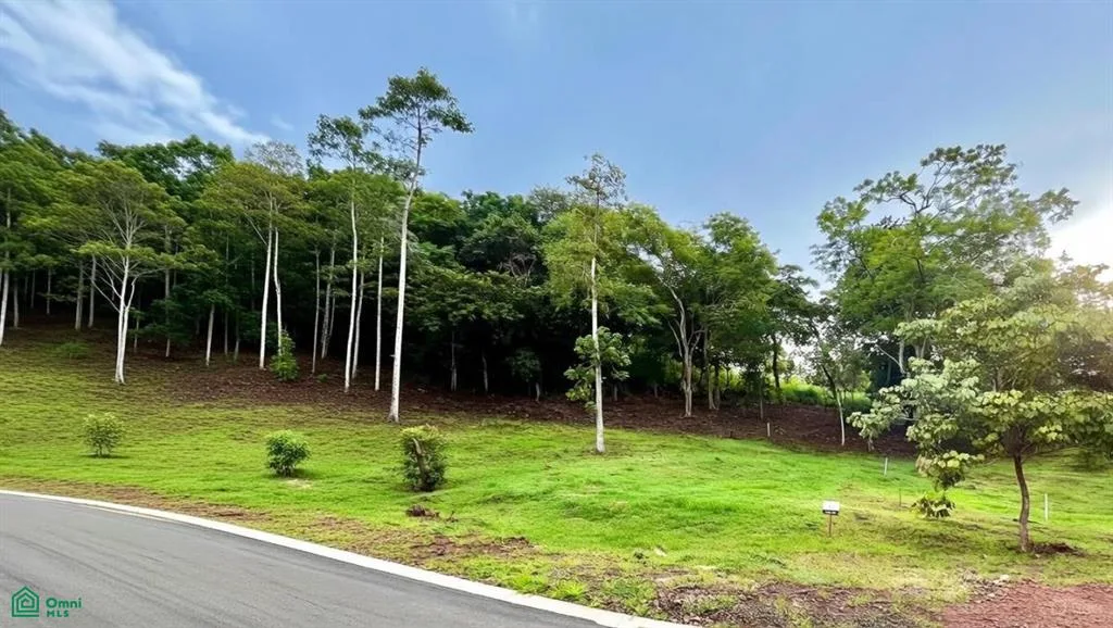 7 Prime 028 Acre Corner Lot In Alma Verde Gated Com Tempate Guanacaste