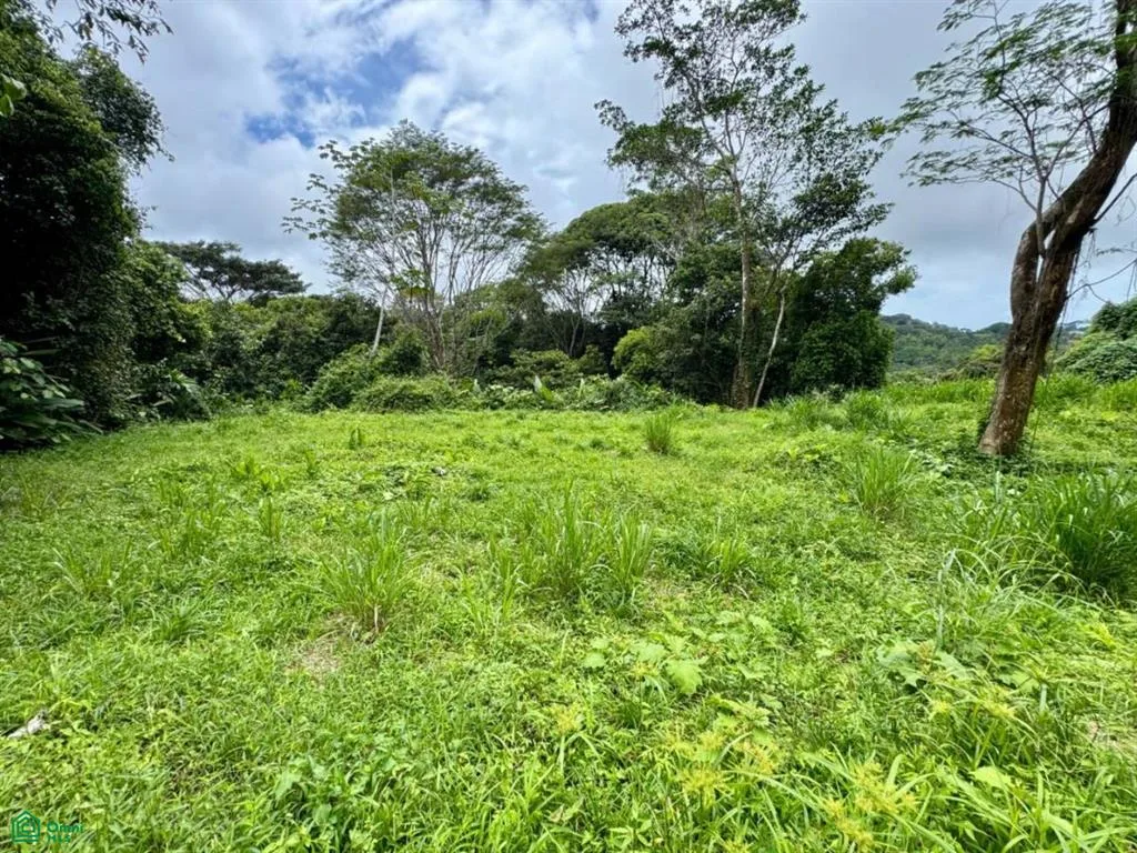 Lagunas Puntarenas