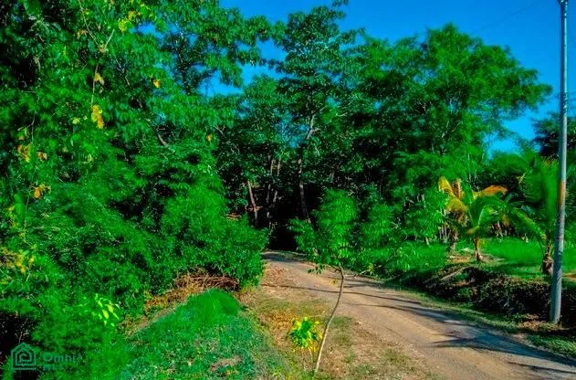 La Reserva Camaronal Lot 15 Zapotal Guanacaste