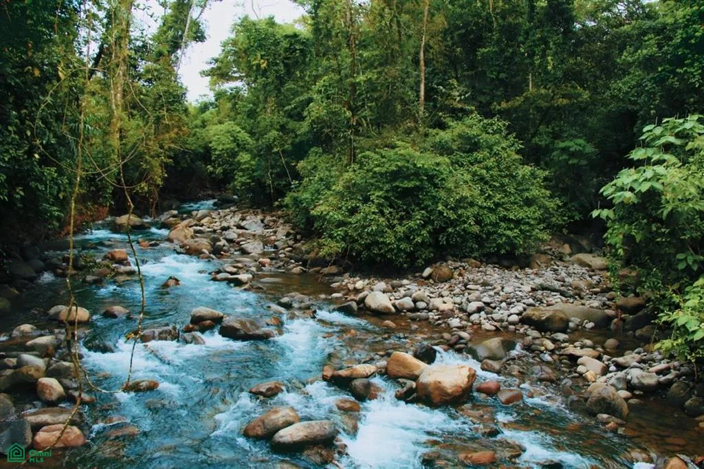 Finca Isla Rainforest Retreat Aguas Zarcas Alajuela