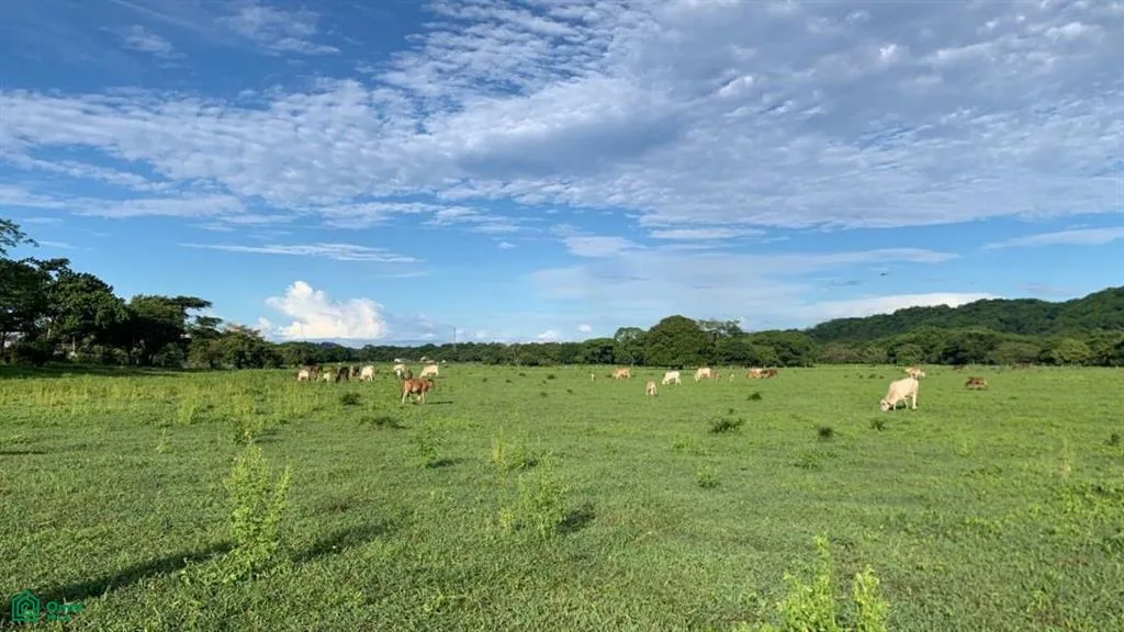 La Garita Nueva Santa Cruz Guanacaste