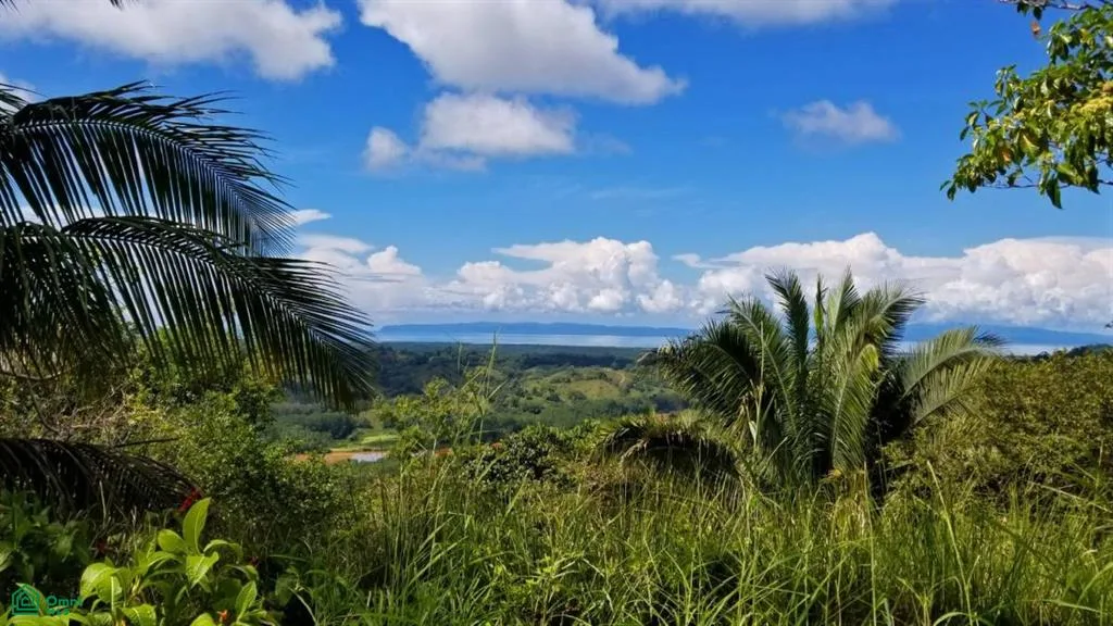 La Florida De Golfito Golfito Puntarenas