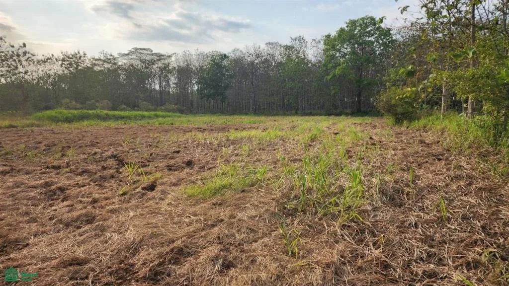 Beautiful 124 Acre Lot In Parcelas Quepos Puntarenas