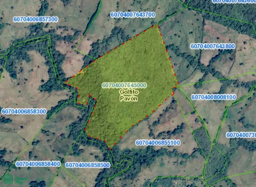Cuervito De Pavones Golfito Puntarenas