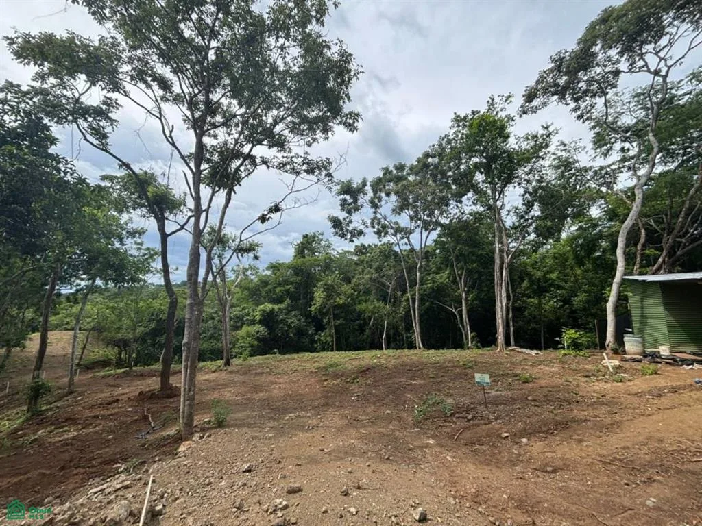 202 Ron Ron Santa Cruz Guanacaste