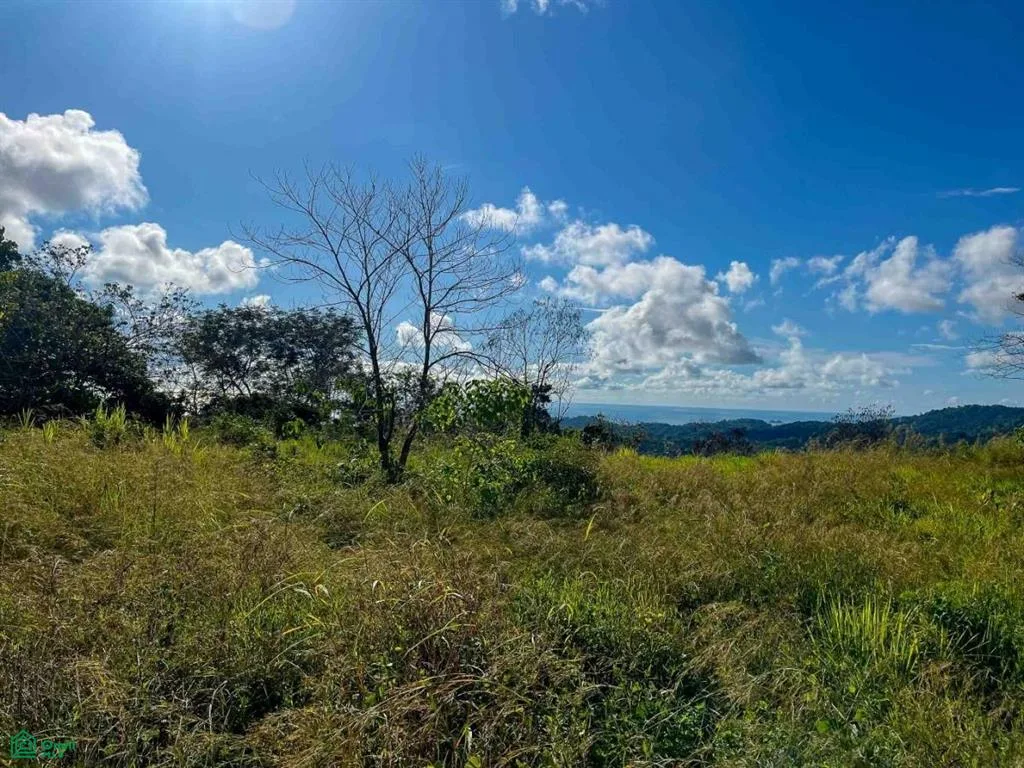 Flat Ocean View Lot Puntarenas