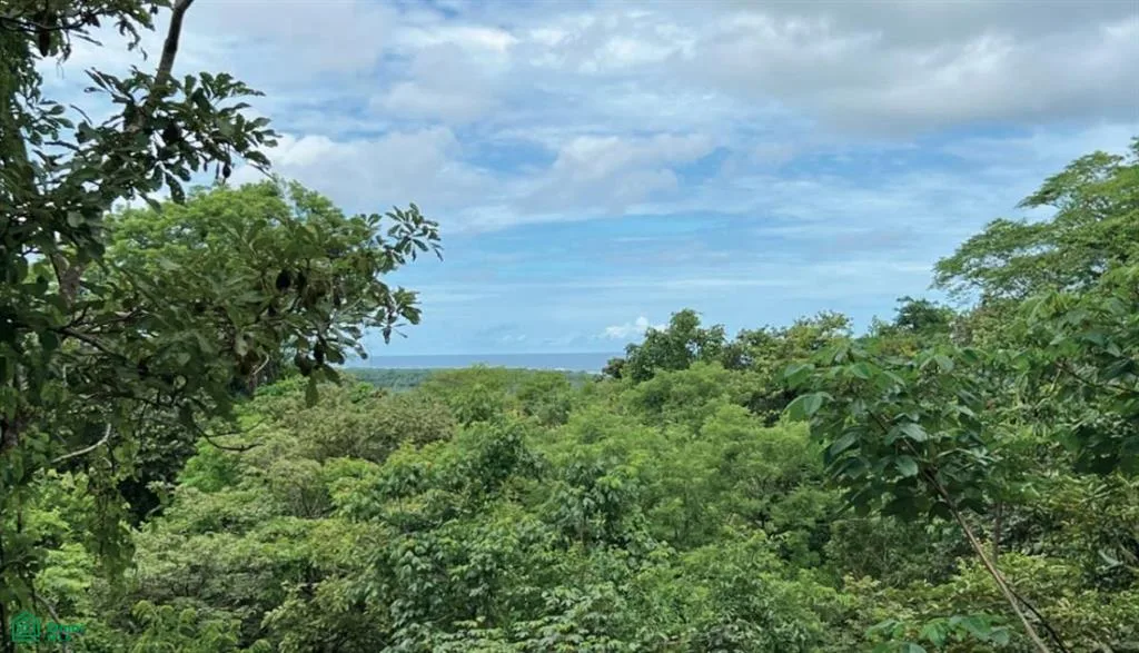 Santa Cruz Guanacaste